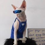 Cotton Sleeveless Breathable Sphynx Cat Clothes