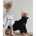 Cotton Print Windproof Sphynx Cat Clothes - Image 3