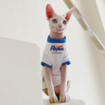 Cotton Print Lightweight Fabric Sphynx Cat Clothes - Image 3