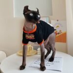 Cotton Print Lightweight Fabric Sphynx Cat Clothes - Image 9