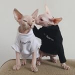 Cotton Print Windproof Sphynx Cat Clothes - Image 4