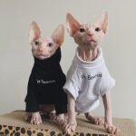 Cotton Print Windproof Sphynx Cat Clothes