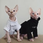 Cotton Print Windproof Sphynx Cat Clothes - Image 5