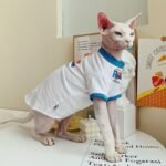 Cotton Print Lightweight Fabric Sphynx Cat Clothes - Image 5