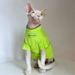 Cotton Print Lightweight Fabric Sphynx Cat Clothes - Image 3