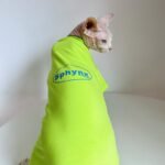 Cotton Print Lightweight Fabric Sphynx Cat Clothes - Image 2