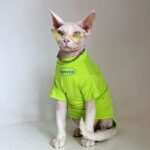 Cotton Print Lightweight Fabric Sphynx Cat Clothes