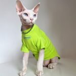 Cotton Print Lightweight Fabric Sphynx Cat Clothes - Image 5