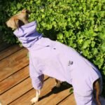 Pullover design Raincoats With hood Grayhound Clothes - Image 4