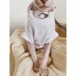 Cotton Solid Color Breathable Sphynx Cat Clothes - Image 3
