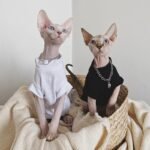 Cotton Solid Color Breathable Sphynx Cat Clothes - Image 4