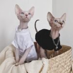 Cotton Solid Color Breathable Sphynx Cat Clothes