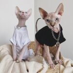 Cotton Solid Color Breathable Sphynx Cat Clothes - Image 5