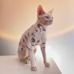 Cotton Print Lightweight Fabric Sphynx Cat Clothes - Image 6