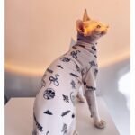 Cotton Print Lightweight Fabric Sphynx Cat Clothes - Image 4