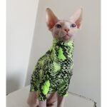 Cotton Print Lightweight Fabric Sphynx Cat Clothes - Image 3