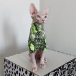 Cotton Print Lightweight Fabric Sphynx Cat Clothes - Image 4