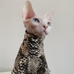 Cotton Print Lightweight Fabric Sphynx Cat Clothes - Image 6