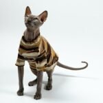 Cotton Tie-dye Breathable Sphynx Cat Clothes - Image 5