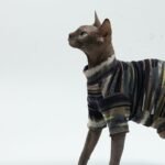 Cotton Tie-dye Breathable Sphynx Cat Clothes - Image 9