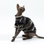 Cotton Tie-dye Breathable Sphynx Cat Clothes - Image 8
