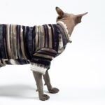 Cotton Tie-dye Breathable Sphynx Cat Clothes - Image 10