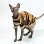 Cotton Tie-dye Breathable Sphynx Cat Clothes - Image 3