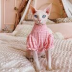 Cotton Frill Trim Breathable Sphynx Cat Clothes