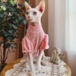 Cotton Frill Trim Breathable Sphynx Cat Clothes - Image 7
