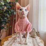 Cotton Frill Trim Breathable Sphynx Cat Clothes - Image 6