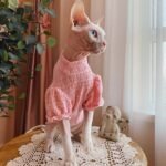 Cotton Frill Trim Breathable Sphynx Cat Clothes - Image 5