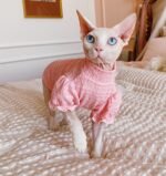 Cotton Frill Trim Breathable Sphynx Cat Clothes - Image 8