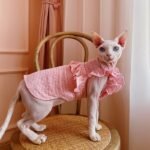 Cotton Frill Trim Breathable Sphynx Cat Clothes - Image 5