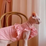 Cotton Frill Trim Breathable Sphynx Cat Clothes - Image 6