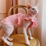 Cotton Frill Trim Breathable Sphynx Cat Clothes - Image 4