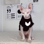 Cotton Print Reflective strip Sphynx Cat Clothes