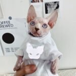 Cotton Print Reflective strip Sphynx Cat Clothes - Image 5