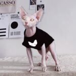 Cotton Print Reflective strip Sphynx Cat Clothes - Image 2