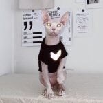 Cotton Print Reflective strip Sphynx Cat Clothes - Image 4