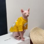Cotton Print Lightweight Fabric Sphynx Cat Clothes - Image 8
