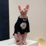 Cotton Print Lightweight Fabric Sphynx Cat Clothes - Image 11