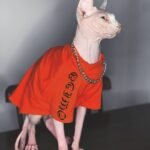 Cotton Print Lightweight Fabric Sphynx Cat Clothes