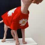 Cotton Print Lightweight Fabric Sphynx Cat Clothes - Image 10