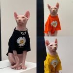 Cotton Print Lightweight Fabric Sphynx Cat Clothes - Image 9