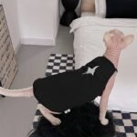 Cotton Print Breathable Sphynx Cat Clothes - Image 7