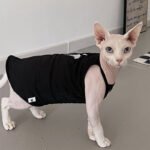Cotton Print Breathable Sphynx Cat Clothes - Image 6