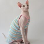 Cotton Stripes Lightweight Fabric Sphynx Cat Clothes - Image 4