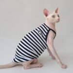 Cotton Stripes Lightweight Fabric Sphynx Cat Clothes
