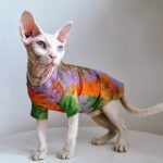 Cotton Tie-dye Breathable Sphynx Cat Clothes - Image 4