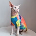 Cotton Tie-dye Breathable Sphynx Cat Clothes - Image 6